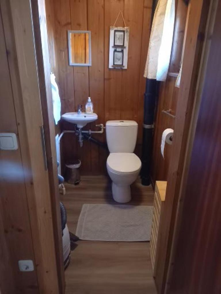 Gaestehaus-Russegger Abtenau Extérieur photo